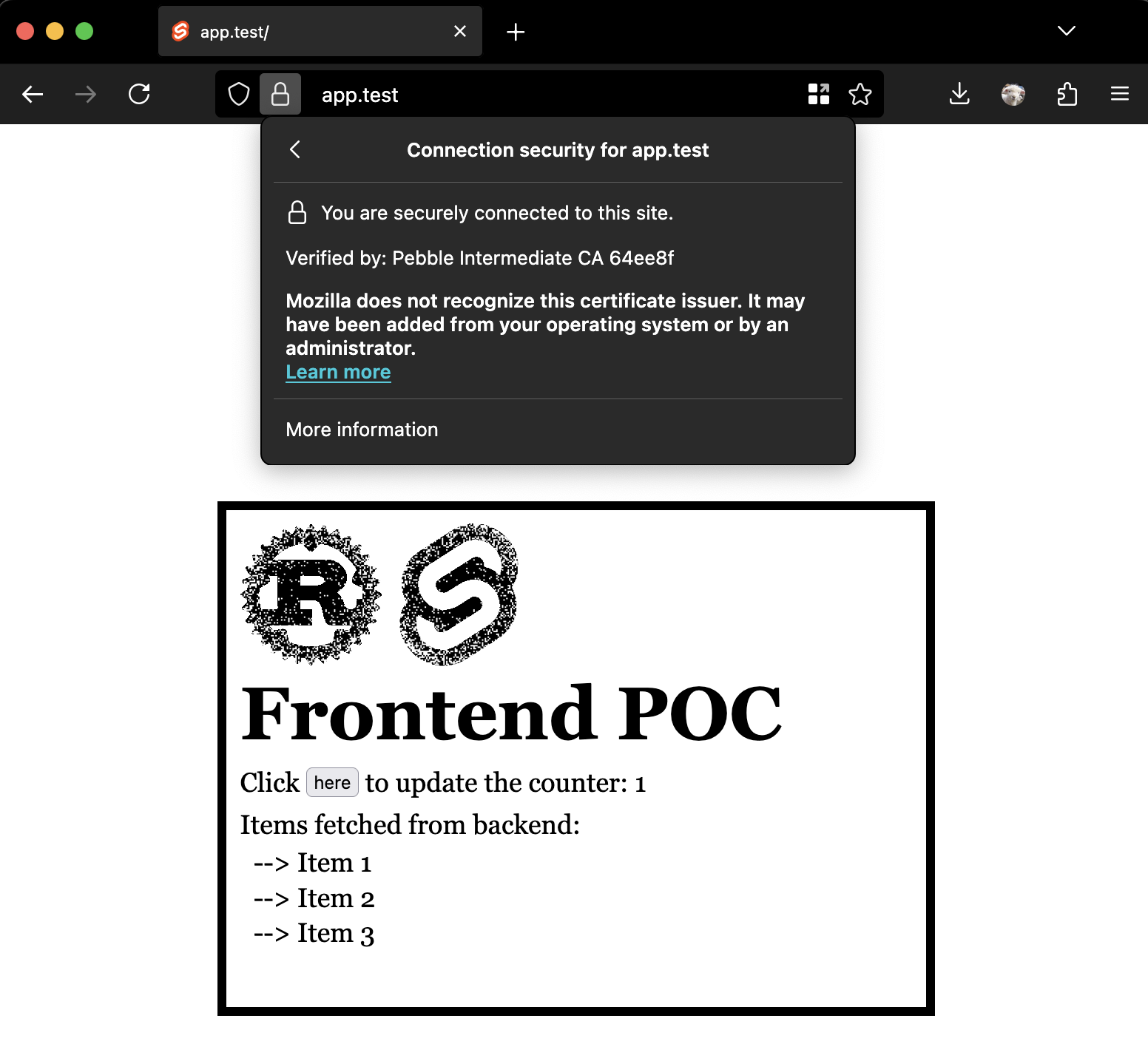 HTTPS demo